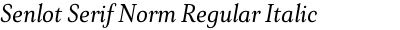 Senlot Serif Norm Regular Italic